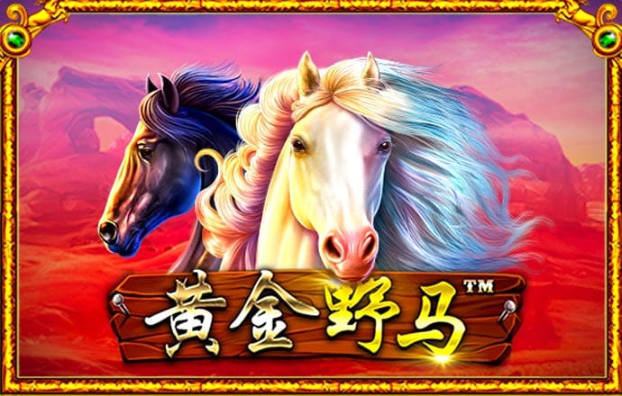 by体育中国官网入口